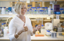 Anna Arnqvist, Umeå universitet