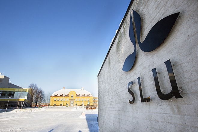 Sveriges lantbruksuniversitet, SLU