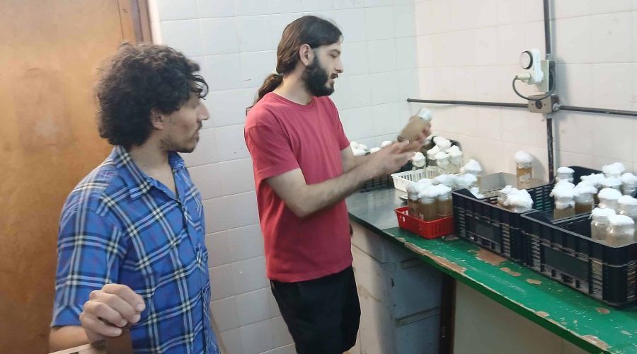 Nicolas Flaibani och Lucas Kreiman beskriver hur de fanns forskare från andra länder, som Chile och Colombia, här i laboratoriet tidigare. De flesta av dem har flyttat till andra länder nu, säger Nicolas Flaibani.