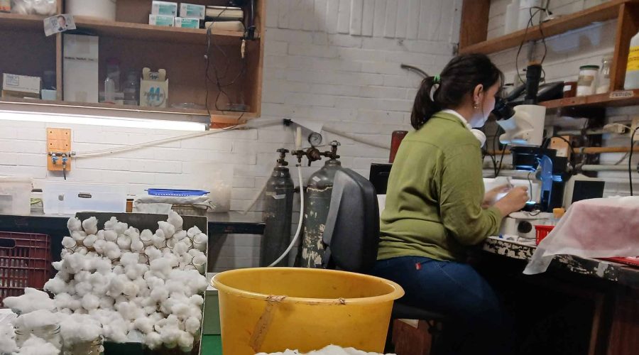 Madelein Ortiz och de andra forskarna i labbet vet inte om de kommer att kunna slutföra sina respektive projekt.